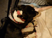7 beautiful long-legged staffie pups