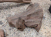 Varied Sizes of Bog Wood (Aquarium Only)