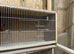 Single breeding cage for budgies and small birds