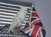 Ducorpes Cockatoo