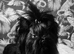 Yorkshire Terrier Zack