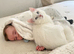 Turkish angora male 9 months