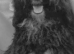 Cockapoo