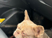 **EXOTIC FRENCH BULLDOG PUPS**