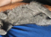 2 grey boys