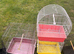 x12 goldfinch & mule cages