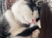 Fluffy gray and white girl