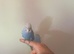 Hand tame baby budgies