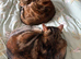 Bengal mix sisters