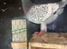 Healthy breeding female
