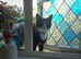 2 cats