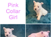 7 Wonderful Westie Pups