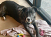Denson needs a patient home