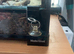 Lilleywhite crested gecko