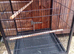 Breeding cage