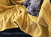 Flo French Bulldog ()