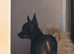 Chihuahua x toy poodle for 5* homes