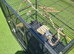 Large bird / parrot / budgie cage