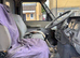 3.5 tonne horsebox