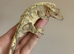 Brindlequin with dal spots male crested gecko