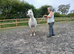 7yr old Welsh section A mare
