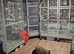 Xl very tall bird cage for sale