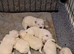 FifeWesties