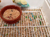 Young budgie needing new home