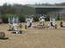 14.2 Super fun SJ/XC/PC pony.