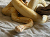 Sharp albino boa