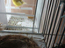 MULING PAIR