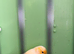 Canaries