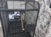 Beautiful large parrot cage