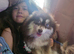 Female Pomsky 1yr