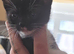 Beautiful male kitten