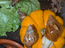 8 for &pound;10 Albino & Standard Giant African Land Snails jadatzi