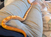 Sunglow Albino Boa