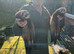 Polecats and ferrets for sale