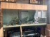 5ft aquarium 4 life tank with sump