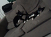 2 kittens for sale