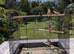 4 Zebra finches 2026 birds