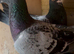 Quality racing pigeons for sale in Glasgow
