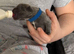 2 male French bulldog pups ready in 5 weeks