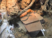 2 unrelated Pilbara Rock Monitors