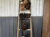 Stunning Bantam Polish Chicks