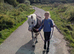 Child's all-rounder pony