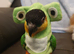 Male black headed caique