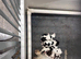 Kc reg pups