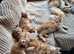 Maine Coon kittens for sale ready soon
