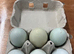 Rainbow hatching eggs